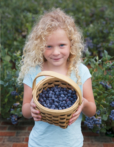 FALL_CREEK_young_girl_with_berries.jpg